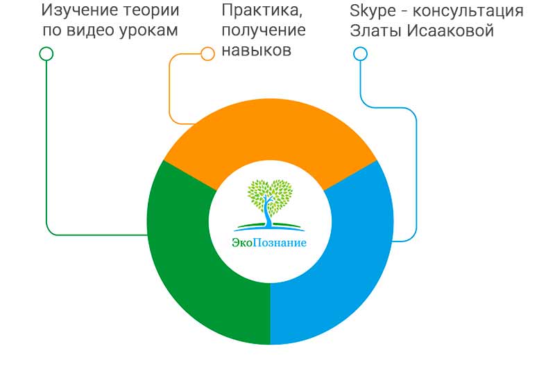 обучение нумерологии система