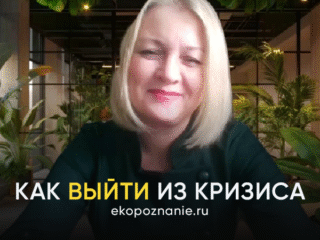Как выйти из кризиса
